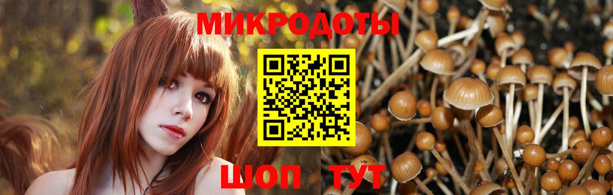 Галлюциногенные грибы мицелий  Вход с VPN  Псилоцибиновые грибы GOLDEN TEACHER  Дзержинский 